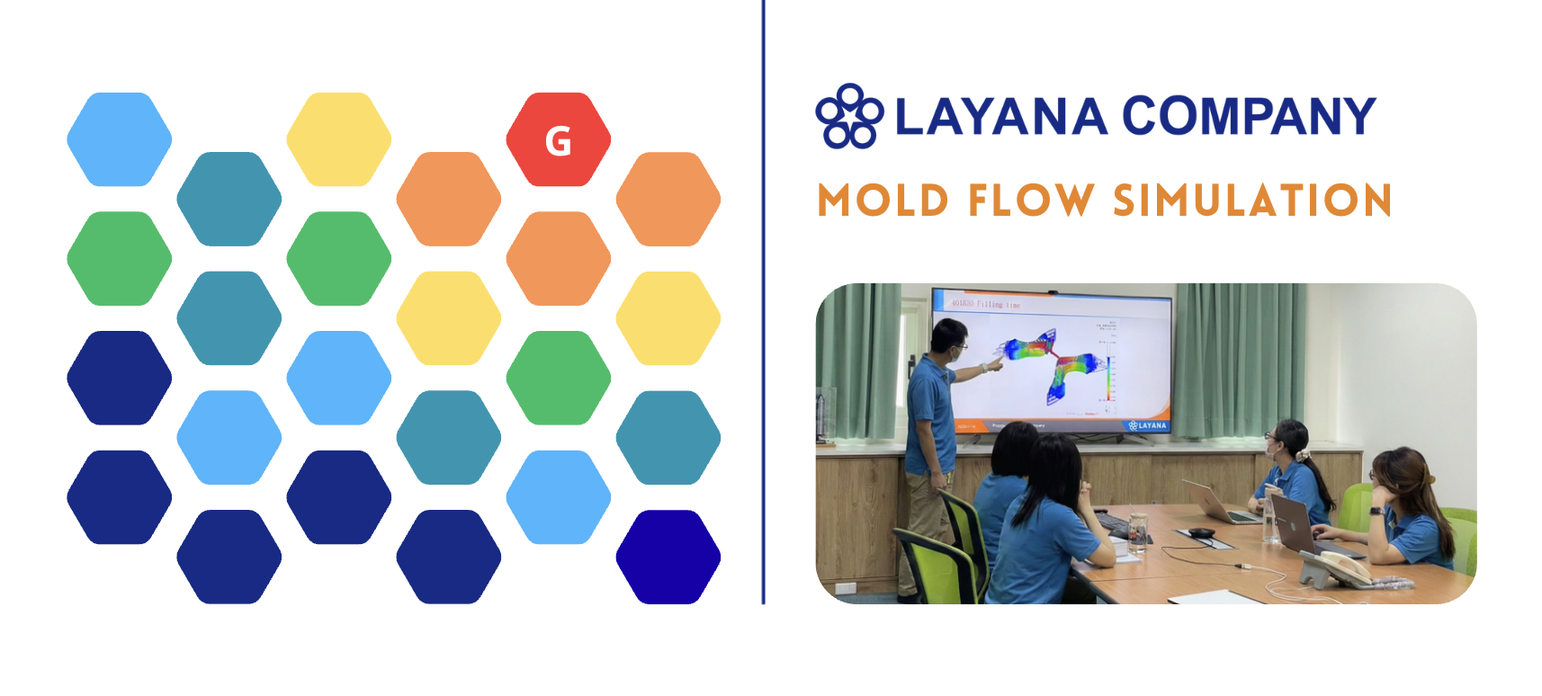 layana mold flow simulation analysis service