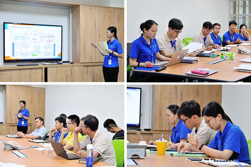 20180611 internal audit 03
