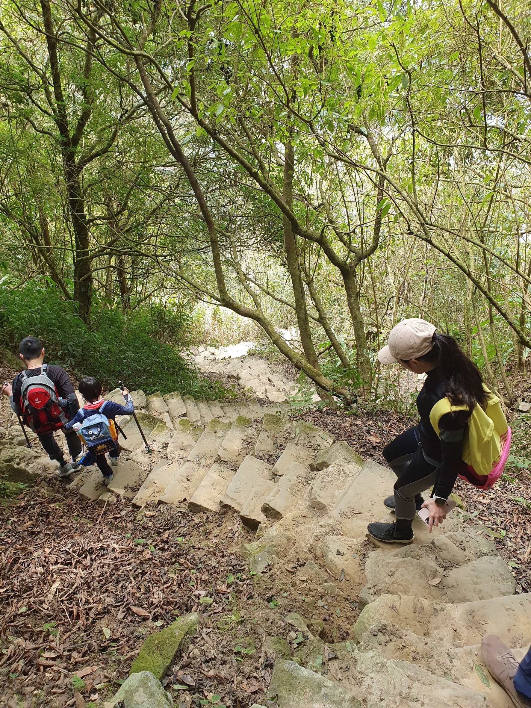 taiwan-jade-mountai_04