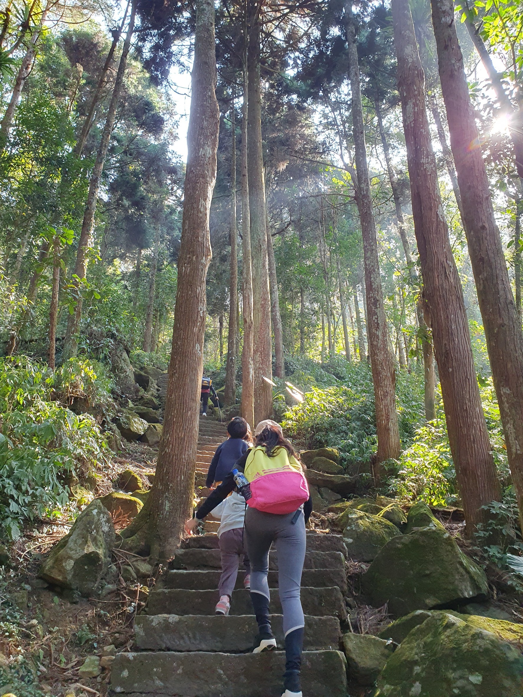 taiwan-jade-mountai_05
