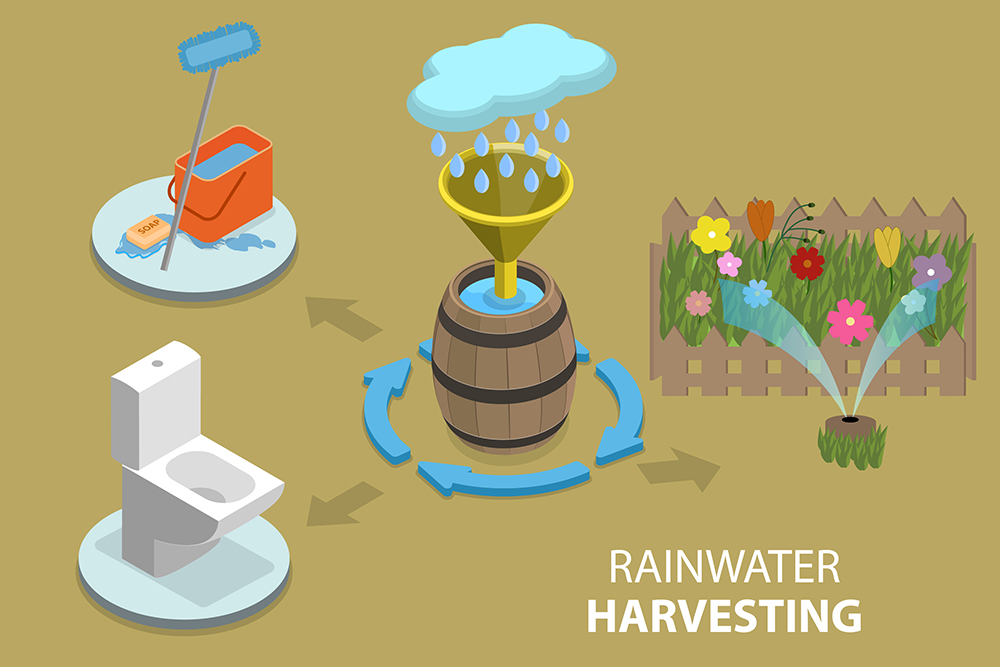 雨水收集插圖顯示捕獲的雨水重新用於清潔、廁所和灌溉。
